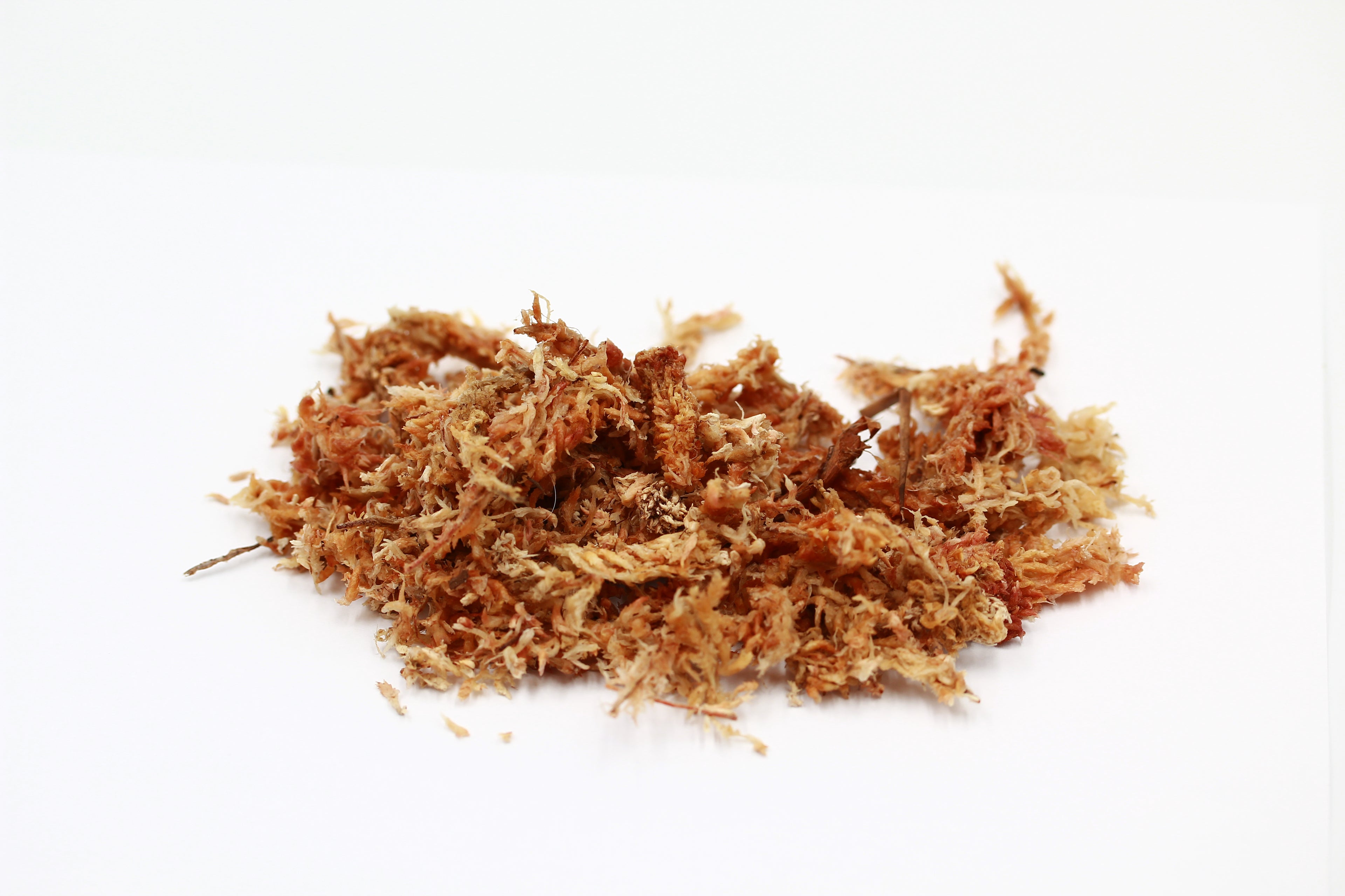 Sphagnummoos – Premium Langfaser-Moos